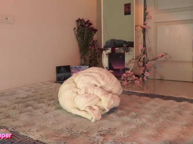 Live трансляция LilluCooper - slutnetki.online