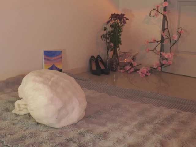 LilluCooper