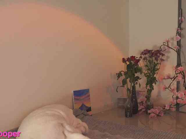 Модель: LilluCooper