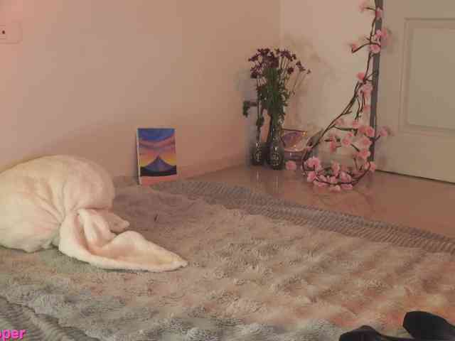 LilluCooper Live Webcam on BongaCams