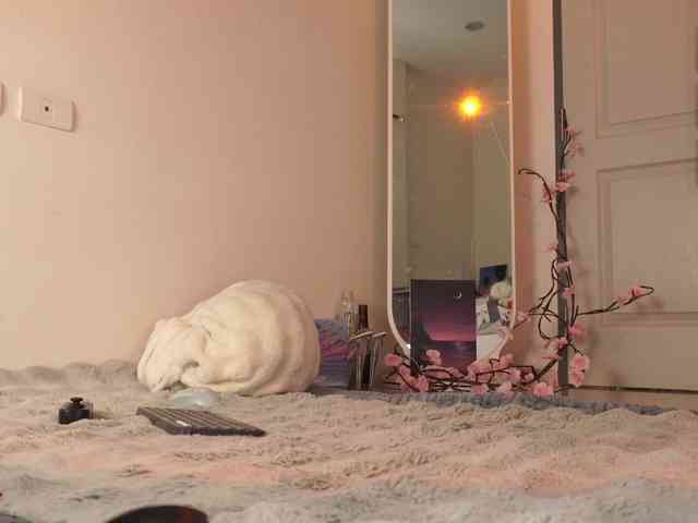 LilluCooper webcam