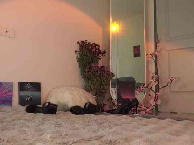 LilluCooper webcam