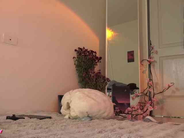 LilluCooper webcam