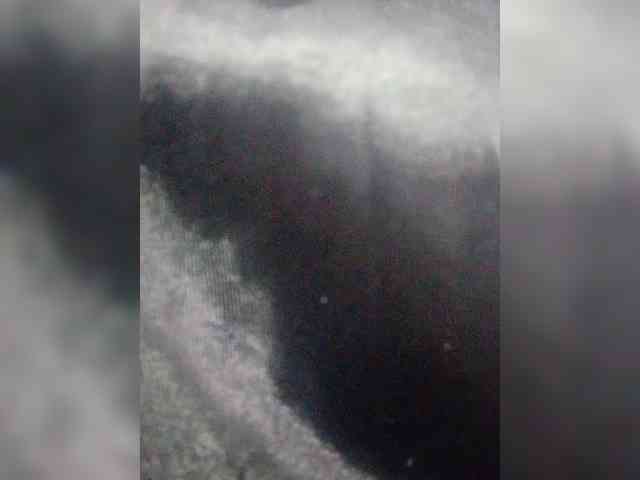 HelenMartin webcam
