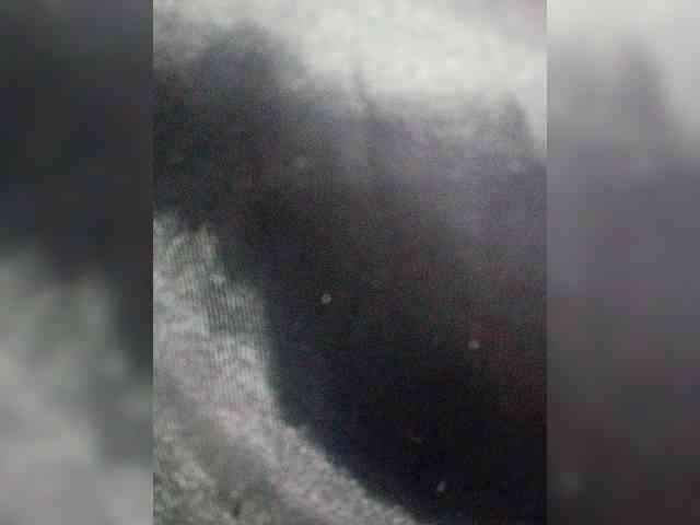 HelenMartin webcam