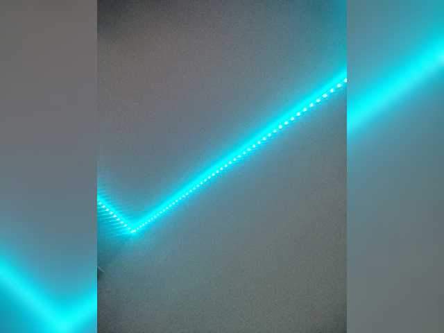 Koti9811
