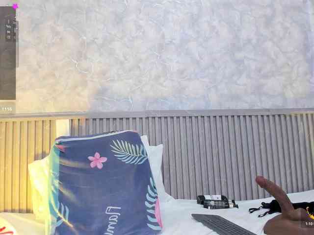 Reichel05 webcam