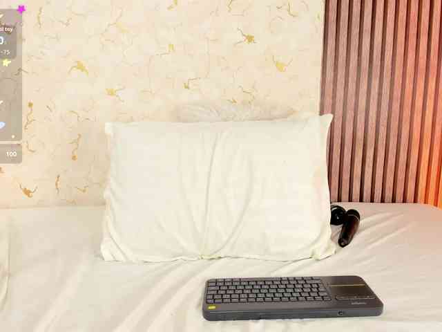 Reichel05 webcam