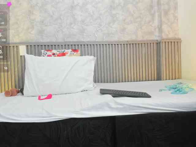 Reichel05 webcam