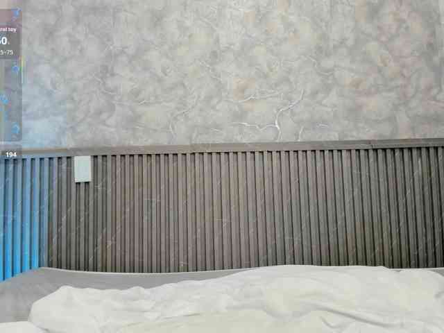 Reichel05 webcam