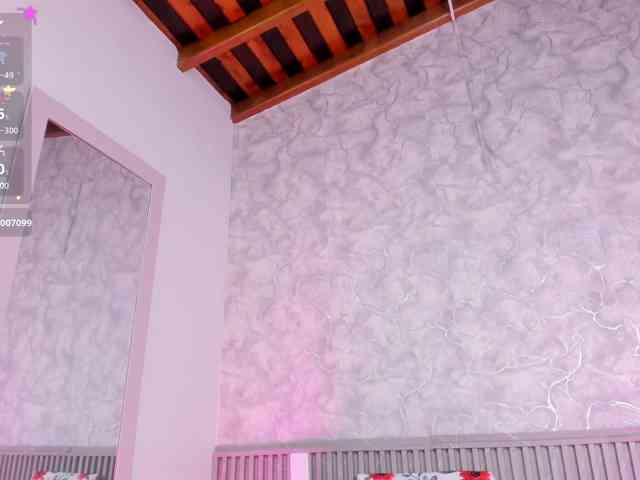 Reichel05 webcam