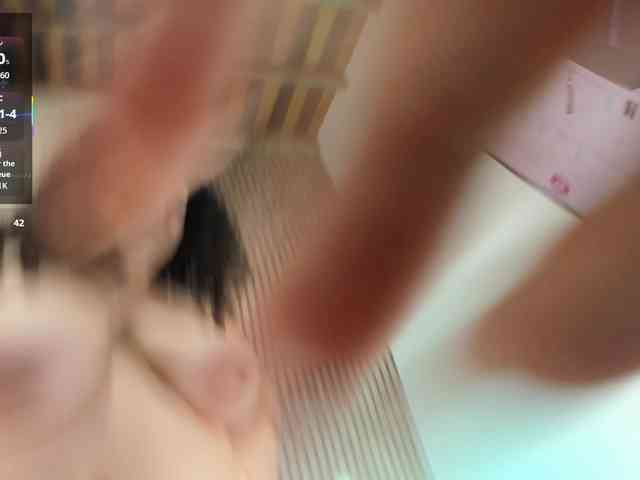 Reichel05 webcam