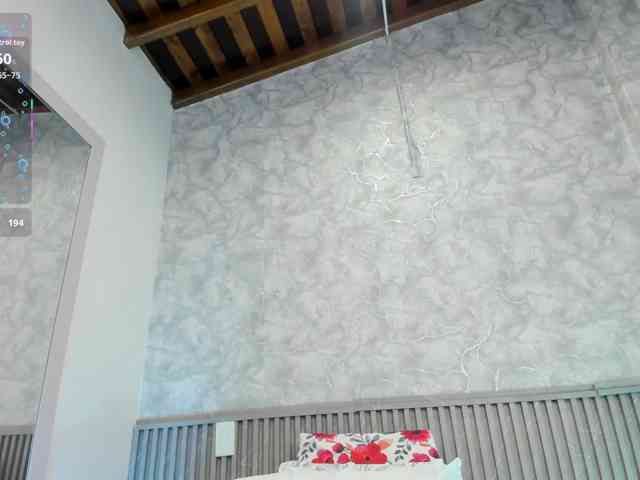 Reichel05 webcam