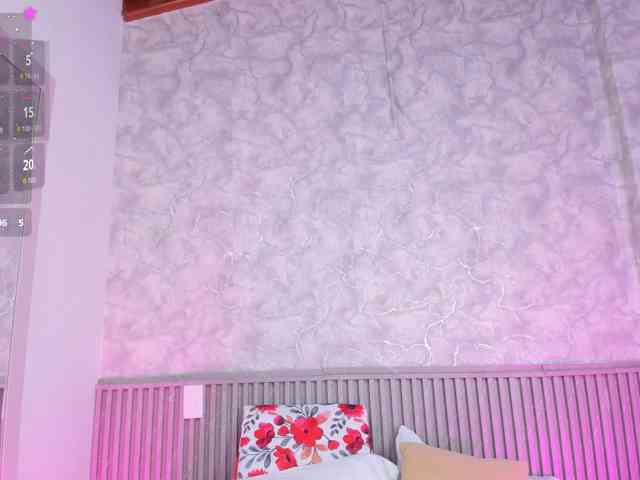 Reichel05 webcam