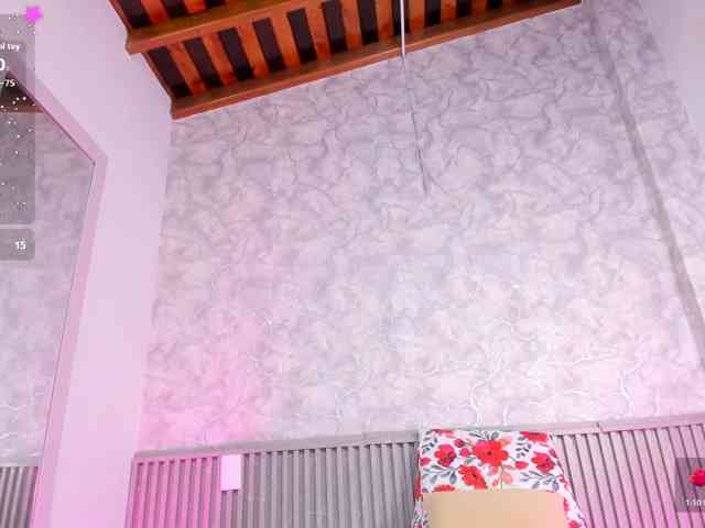 Reichel05 webcam