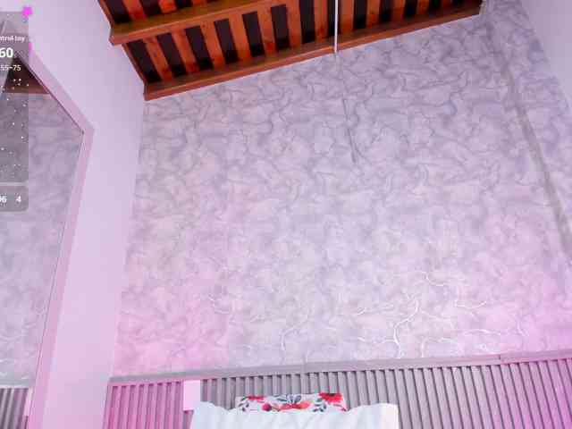 Reichel05 webcam