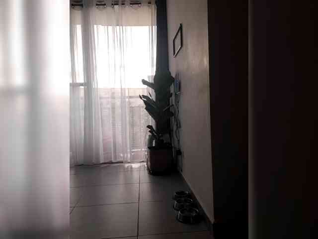 Reichel05 webcam