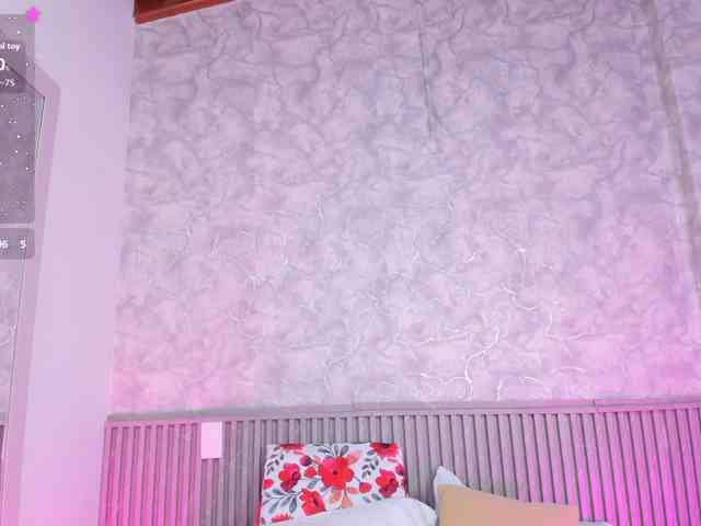 Reichel05 webcam