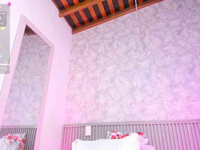 Reichel05 webcam