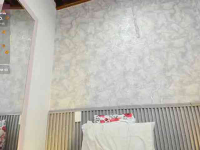 Reichel05 webcam