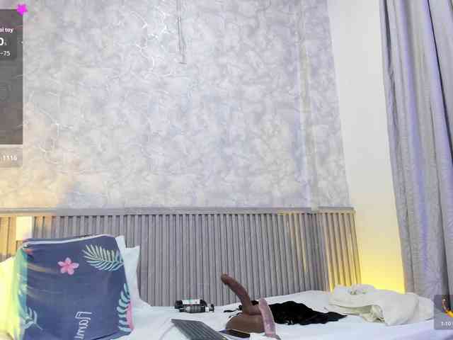 Reichel05 webcam