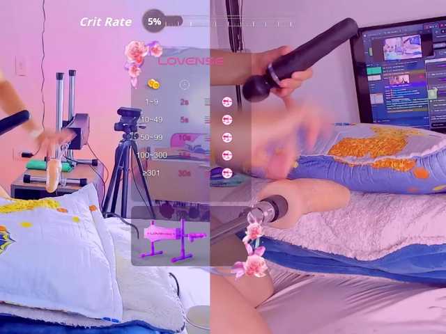 Dayi-Cute
