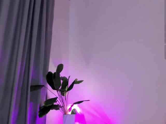 IceStrawberry webcam