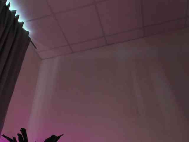 IceStrawberry webcam
