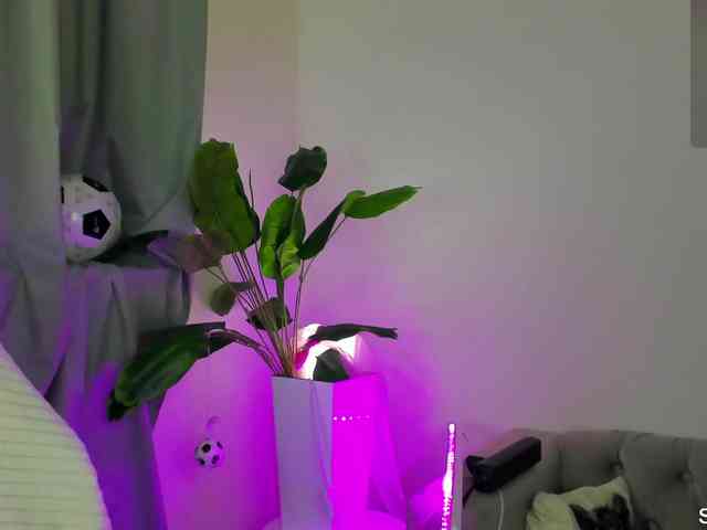 IceStrawberry webcam