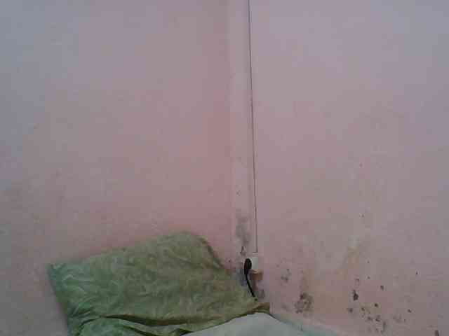 willah1 webcam
