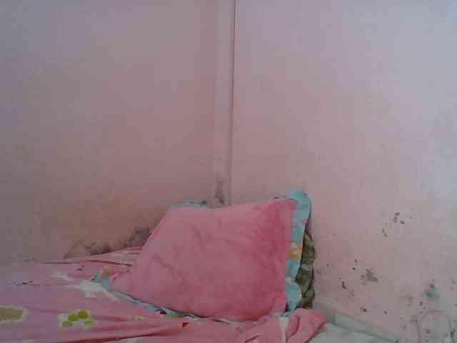 willah1 webcam