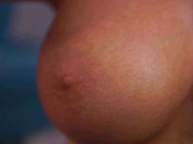 ElyssawetXX