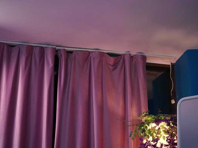 ElyssawetXX live webcam show