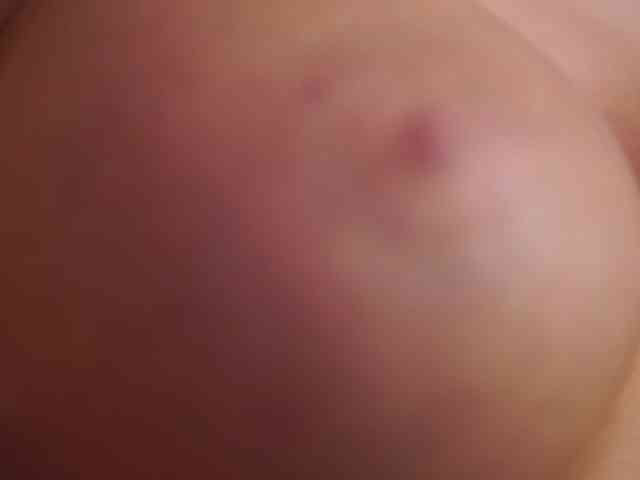 ElyssawetXX