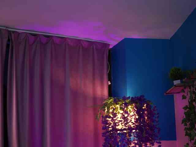 ElyssawetXX