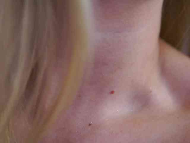 ElyssawetXX