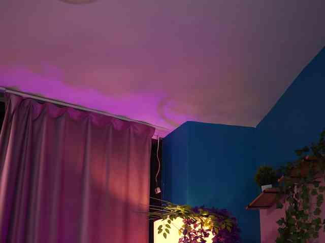 ElyssawetXX webcam