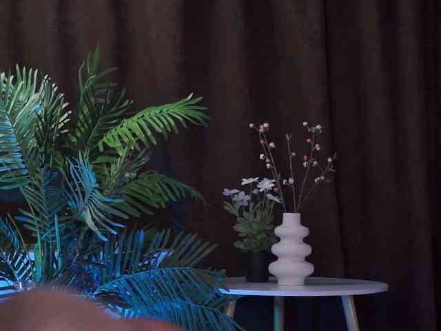 ElyssawetXX webcam