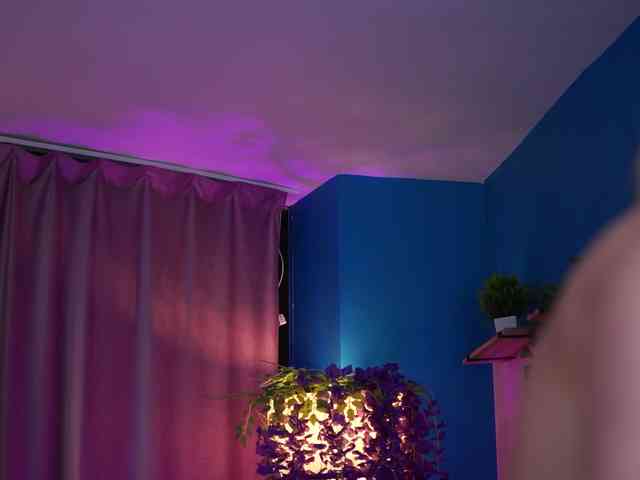 ElyssawetXX