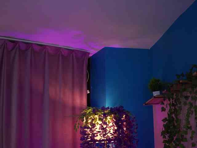 ElyssawetXX