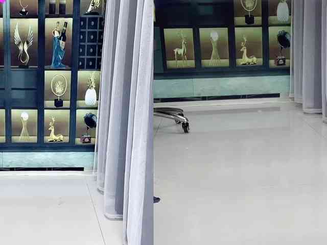 Wink-WeiWei webcam