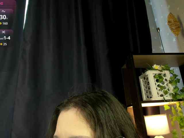 DanaWhisper webcam