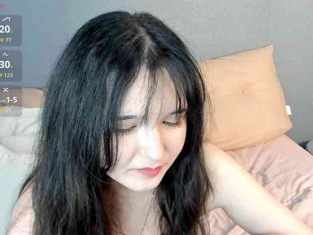 Model: DanaWhisper