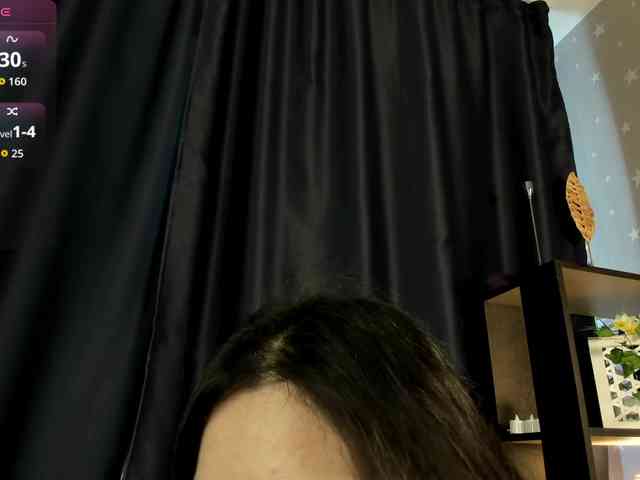 DanaWhisper webcam