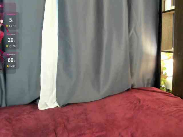 DanaWhisper webcam