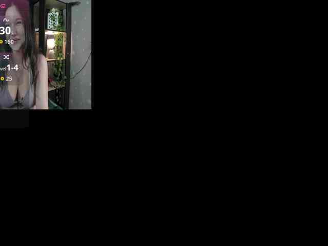 DanaWhisper webcam