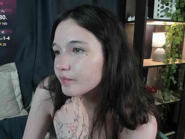 DanaWhisper webcam