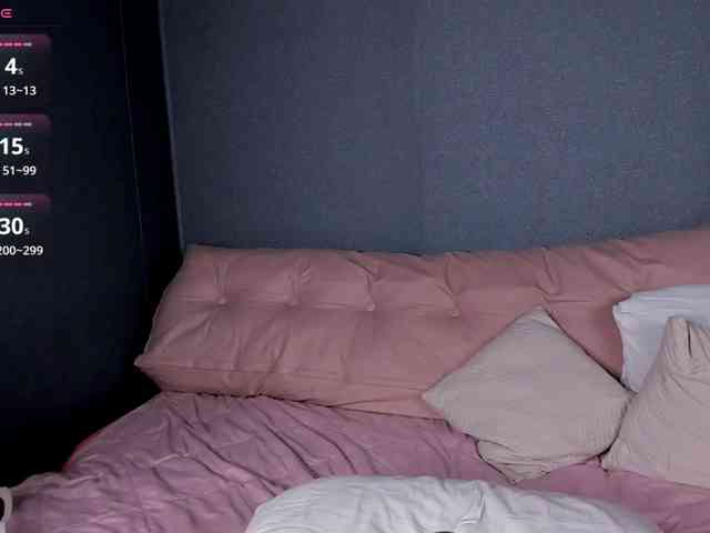 DanaWhisper webcam