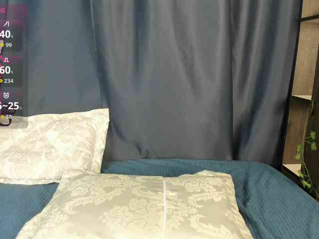 DanaWhisper webcam