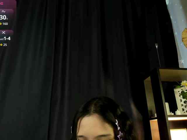 DanaWhisper webcam